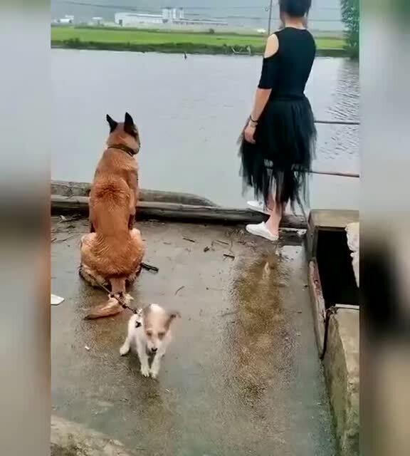 暴躁老哥最新爆料,揭秘娱乐圈惊人内幕！